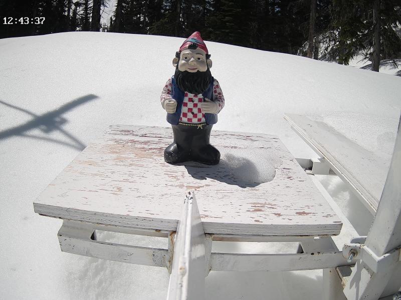 Gnorm The Gnome (10" Tall @ 6,398ft)