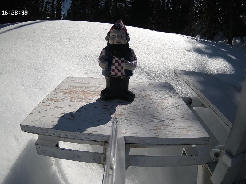 Gnorm The Gnome (10" Tall @ 6,398ft)