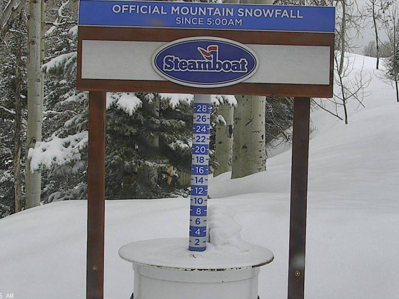 Snow Stake Mid-Mtn (cleared 500am)